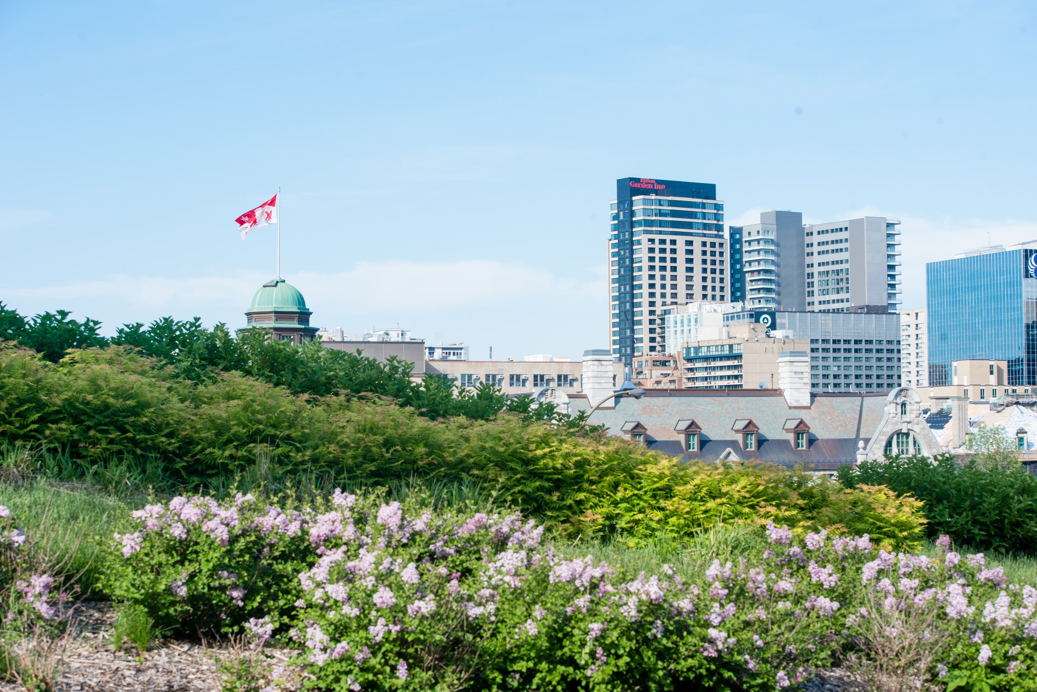 McGill University of Canada